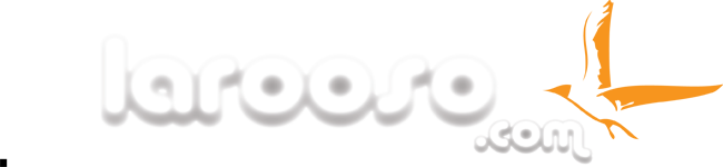 larooso.com logo